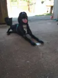Jack