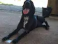 Jack