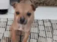 não tem 