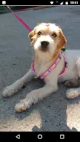Bili