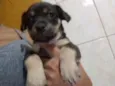 Indefinido