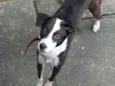 Desconhecido