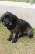 LAILA