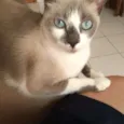 Valentina