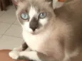 Valentina