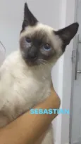 Sebastian