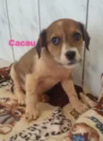 Cacau e Bia