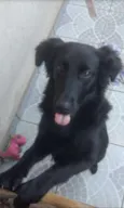 Dalila