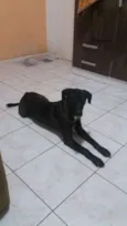 Jack