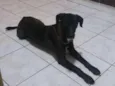 Jack