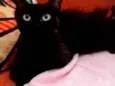Mimi