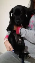 Julie