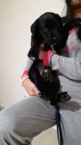 Julie