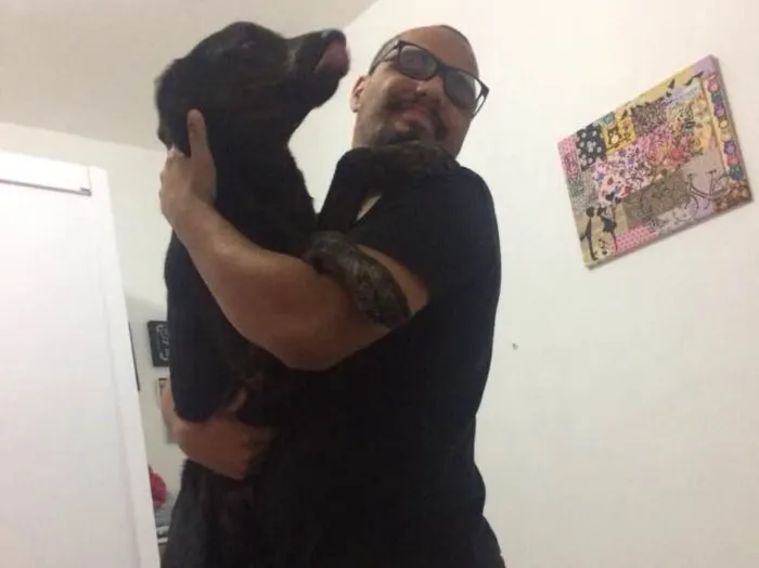 Cachorro ra a SRD idade 7 a 11 meses nome Bruce