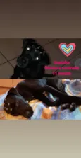 Xuxinha