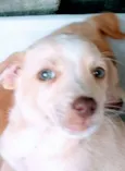 Não tem nome