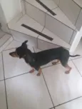Visita
