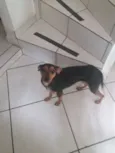 Visita