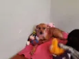 Amora