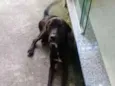 Não tem