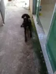 Não tem