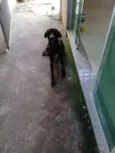 Não tem