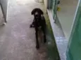 Não tem
