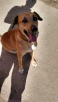 Pequena
