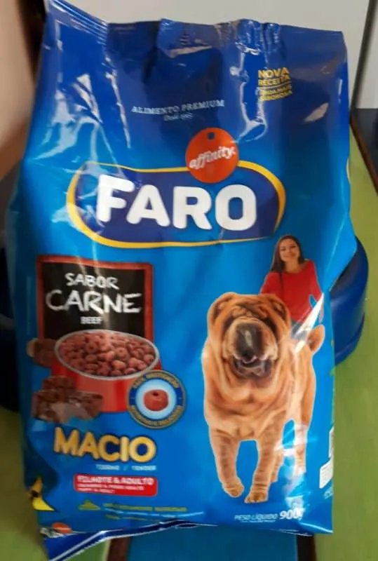 Cachorro ra a Vira lata  idade  nome FiFi