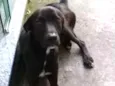 Não tem