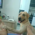 Billy