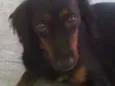 Mey