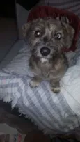 não sei