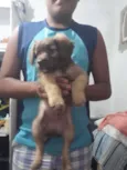 Não tem