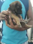 Não tem