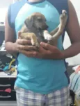 Não tem