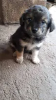 Doug