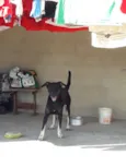 Simey