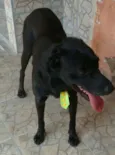 Lucky