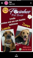 ZUMPA E LUANDA