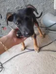 Ainda não tem nome