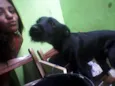 bidu