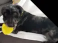 Tob 