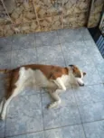 Baby