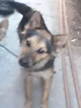 MAILON