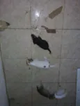 Não tem