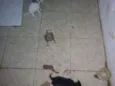 Não tem