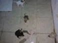 Não tem