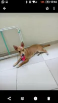 Lunna