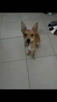 Lunna